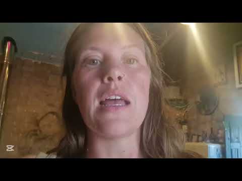 The Reality of Creating Content While Living Off Grid in 40°C Heat