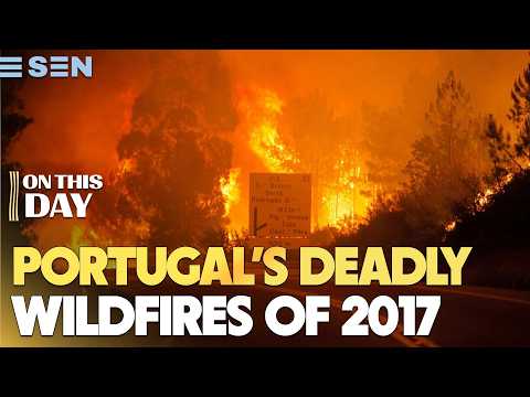 June 17th | On This Day | Portugal's Deadly Wildfires of 2017