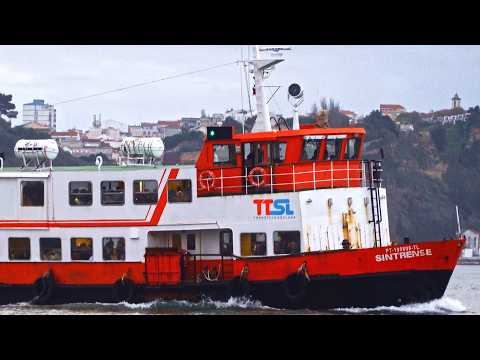 🛳️ SHIP SPOTTING in LISBON 🇵🇹 | BUSY TRAFFIC