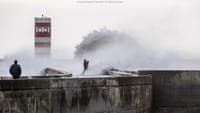 Waves up to 12 metres high to close Avenida D. Carlos I in Porto from midnight