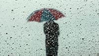 Get ready: rain in the coming days and temperatures dropping to 5 degrees