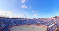 Public consultation opened to register bullfighting as Intangible Cultural Heritage
