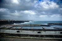 Shark beaten to death in the Azores: animal welfare associations urge authorities to investigate video with "shocking images"