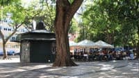 Portuguese pavement causes more deaths in Lisbon: Carlos Moedas to change pavements "progressively"