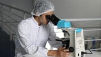 The pursuit of scientific impact may reduce researchers' happiness due to pressure