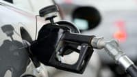 Fuel prices will rise: when and by how much