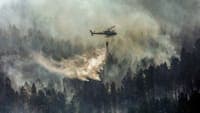 Fight against four fires in the North to be reinforced with aerial assets