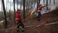 Caught by locals who called the GNR: woman arrested on suspicion of starting a fire in Viseu