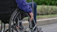 Companions of people with disabilities or reduced mobility to travel by air for free if the airline does not guarantee assistance