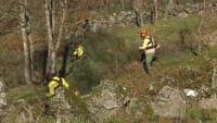Deadline for clearing land ends this Tuesday: fines can reach 1,500 euros