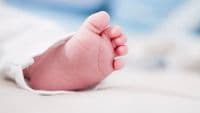 Births reach highest level in the last decade