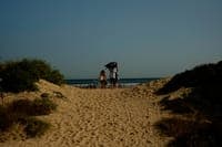 Government advances 15 million to restore beaches before summer