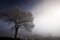 Cold snap sets new record for daily electricity consumption