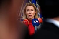 Trump administration “clearly does not like” the European Union