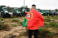 Brussels proposes €293.7 billion for farmers between 2028 and 2034