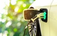 There will be a new tender for the purchase of electric cars. And it won't be long now