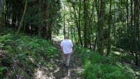New technology allows measuring forest humidity in the Iberian Peninsula to prevent fires