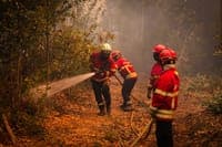 Repeat arsonist denies intentionally starting fire in Águeda