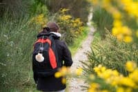 GNR to support pilgrims travelling to Santiago de Compostela until October