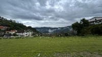 Fire in Peneda-Gerês National Park remains active but with no "sensitive points"