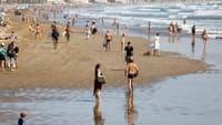 Heat puts Faro district under yellow alert, with four municipalities at maximum fire risk