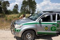 Authorised burning causes fire and leads to the arrest of a man in Resende