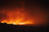 Fire in the municipality of Mirandela consumes 500 hectares of forest
