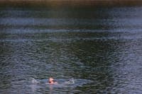 Extreme heat could affect nearly half of the world's population by 2050