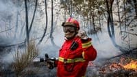 GNR has already arrested 70 arsonists this year. The vast majority due to agricultural burning