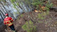 Around 140 Portuguese municipalities at maximum fire risk this Saturday