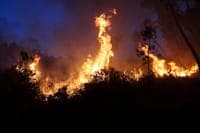 Fire in Aljustrel is "80% contained" and traffic on the EN2 has been restored
