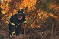 Fire in Odemira mobilises nearly 150 personnel. Flames are close to some houses