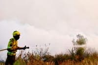 Fire in Vale de Cambra in the mop-up phase