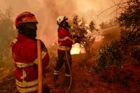 Civil Protection warns: heat, wind and low humidity increase rural fire risk