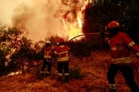 More than 20 municipalities in the interior North, Centre and Algarve are at maximum fire risk