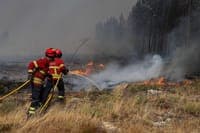 Twenty-five municipalities across five districts at maximum wildfire risk