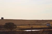 Seguro vence com mais de um terço dos votos no município com melhores salários do país