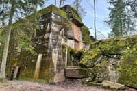 Inside the Wolf's Lair, the hidden fortress where Hitler dictated the war