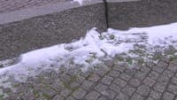 Storm Ingrid brings snow to the Serra de Monchique