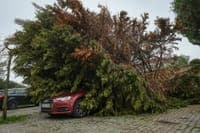 Local council asks the Government to declare a state of calamity in Nazaré