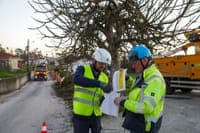 ASF says it is difficult to provide an immediate response to 200,000 claims caused by bad weather