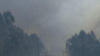 A1 motorway closed between Mealhada and Albergaria due to forest fire