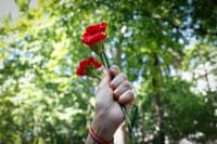 April 25th parade brings thousands back together on Avenida da Liberdade. See the best images