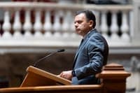 Government evaluates integrating animal rescue into Civil Protection plans