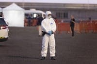 WHO recommends 42-day quarantine for hantavirus outbreak