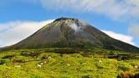 Volcanic alert raised due to seismic activity in the Faial-Pico channel