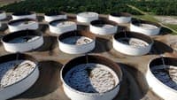Oil barrel price exceeds 100 dollars