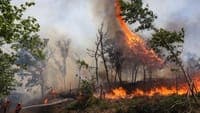"It is the most worrying situation": fire in Rio Maior approaches houses