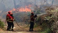 Fire in Valpaços has three active fronts and receives reinforcements