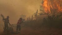 Forest fire in Valpaços mobilises more than 400 personnel